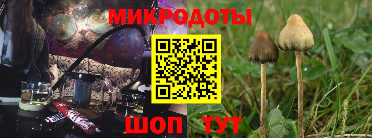 Галлюциногенные грибы прущие грибы  Вход с VPN  Галлюциногенные грибы Psilocybine cubensis  Ливны 